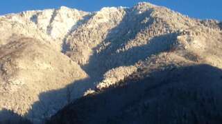 Отели типа «постель и завтрак» Dandalo Батуми Просторный двухместный номер с 2 отдельными кроватями-15