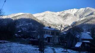 Отели типа «постель и завтрак» Dandalo Батуми Просторный двухместный номер с 2 отдельными кроватями-29